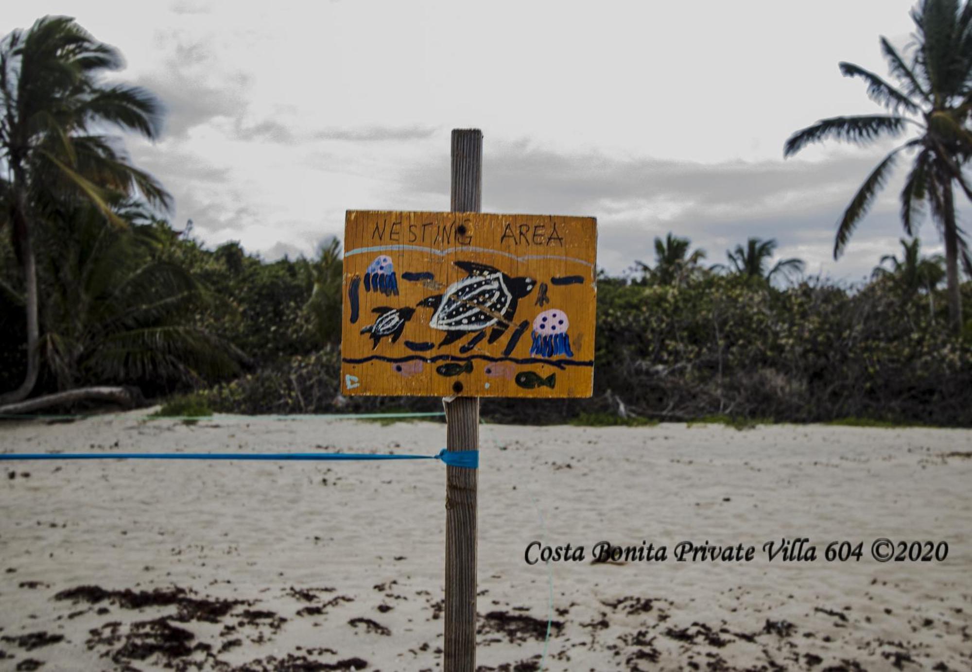 קולברה Costa Bonita Private Villa 604 מראה חיצוני תמונה